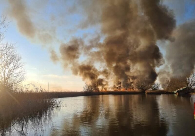 Administrația Deltei Dunării a sesizat pompierii tulceni să intervină la incendiile de vegetație din Sulina, la o zi de la izbucnire