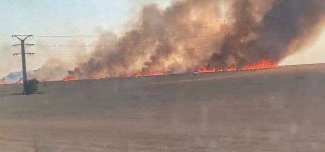 Incendiu izbucnit la un lan de grâu, la ieșire din Năvodari: aproximativ 15 hectare sunt afectate