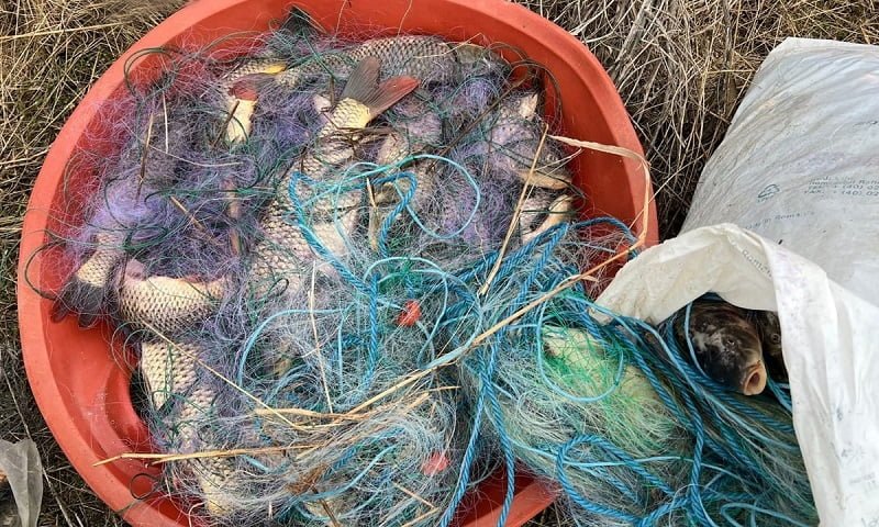 Două persoane prinse în timp ce pescuiau ilegal cu plase monofilament pe lacul Sinoe
