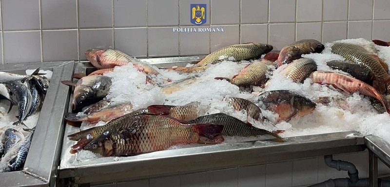 Dosare penale aplicate pentru braconaj piscicol / Peste 200 de persoane au fost legitimate la nivelul județului Constanța