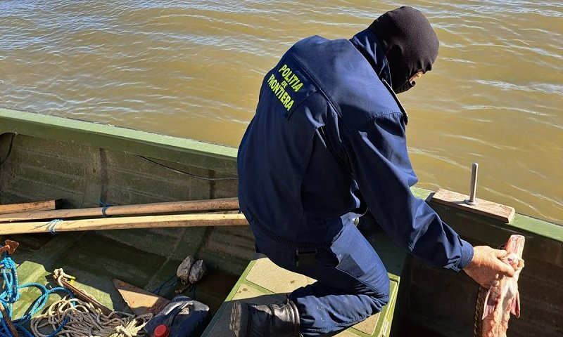 25 de kilograme de sturion pescuit ilegal, redate mediului natural de polițiștii de frontieră