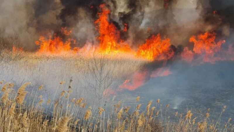 Intervenție de urgență a pompierilor, în Osmancea: arde miriște în apropierea unei case