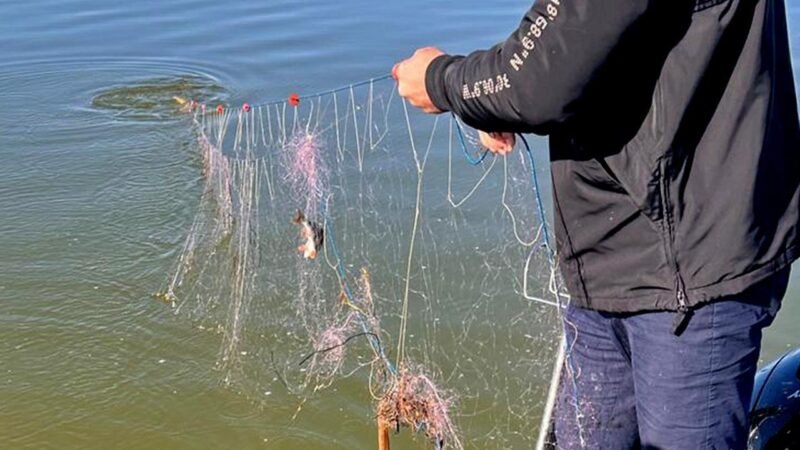 (FOTO/VIDEO) Peste 600 de metri de plase cu 55 de kilograme de pește, scoase din lacul Sinoe de polițiștii de frontieră