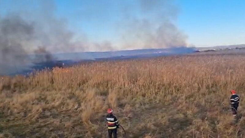 (VIDEO) Incendiu în județul Tulcea: flăcările au cuprins aproximativ 10 hectare de vegetație uscată și stuf