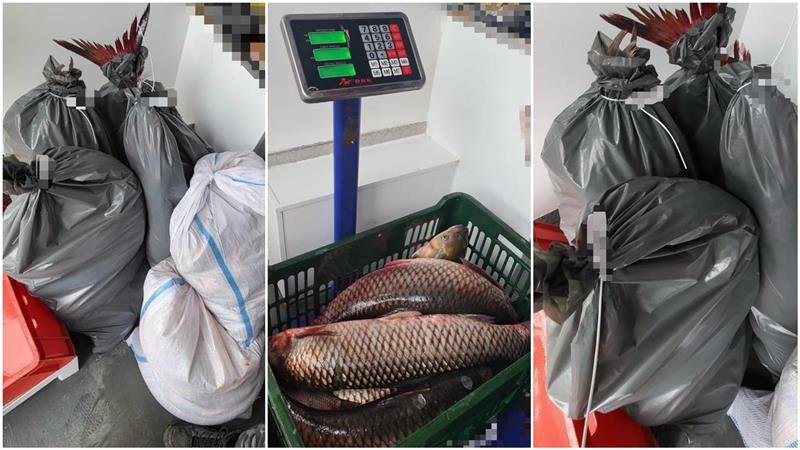 (FOTO) Bărbat prins în timp ce vindea pește dintr-o autoutilitară, la Medgidia