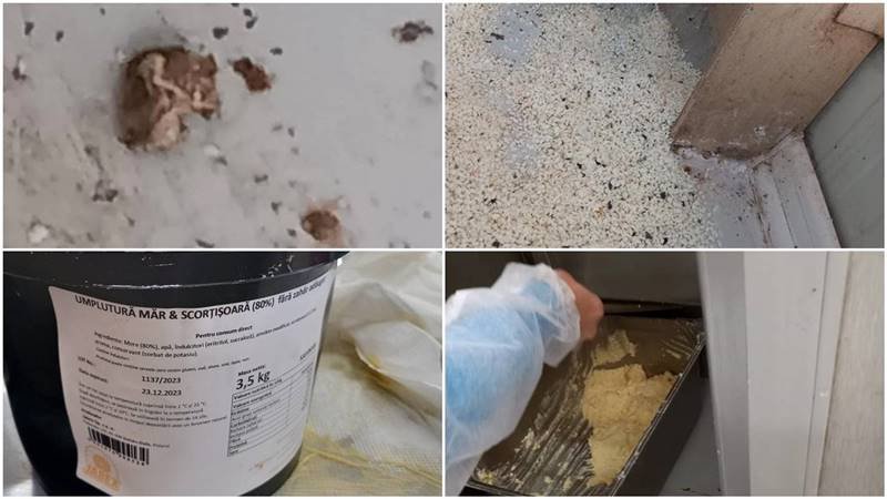 (VIDEO) Șoareci morți și produse expirate găsite de comisarii ANPC la firma care face produsele de patiserie „Cămara Noastră” pentru Lidl