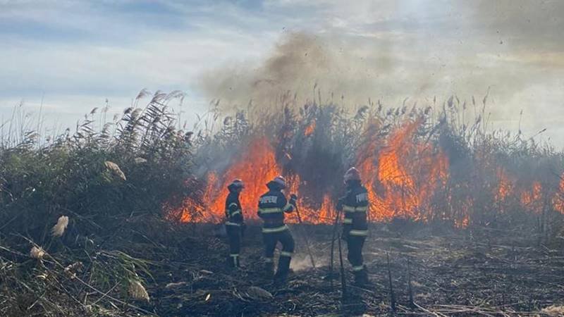 JUDEȚUL TULCEA. Intervenție de urgență a pompierilor pentru stingerea unui incendiu cu pericol de propagare la un complex turistic