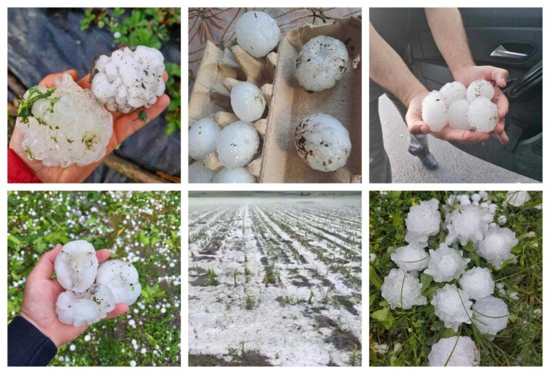 Furtunile, vijeliile și grindina au făcut ravagii în ţară. Culturi agricole distruse de gheaţă – VIDEO