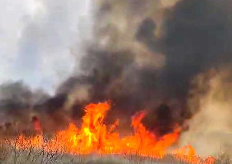 Incendiu de vegetaţie în apropiere de A2 Bucureşti-Constanţa. Circulaţia e oprită şi pe sensul către litoral
