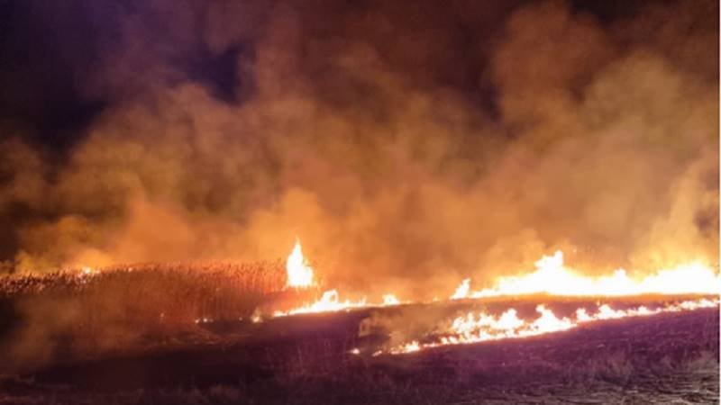 Incendii de vegetaţie pe insula grecească Thassos din cauza unor fulgere puternice