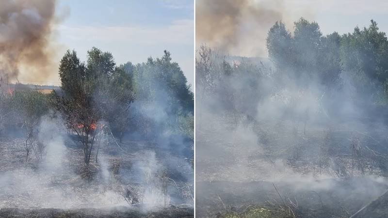 (FOTO) Pompierii tulceni intervin de urgență pentru stingerea unui incendiu, cu risc de extindere la pădure în zona Chilia Veche, Delta Dunării