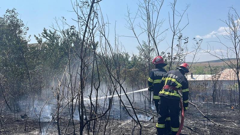 (FOTO/VIDEO) JUDEȚUL TULCEA. Pompierii au intervenit de urgență pentru stingerea unui incendiu de vegetație, cu risc de extindere la patru case