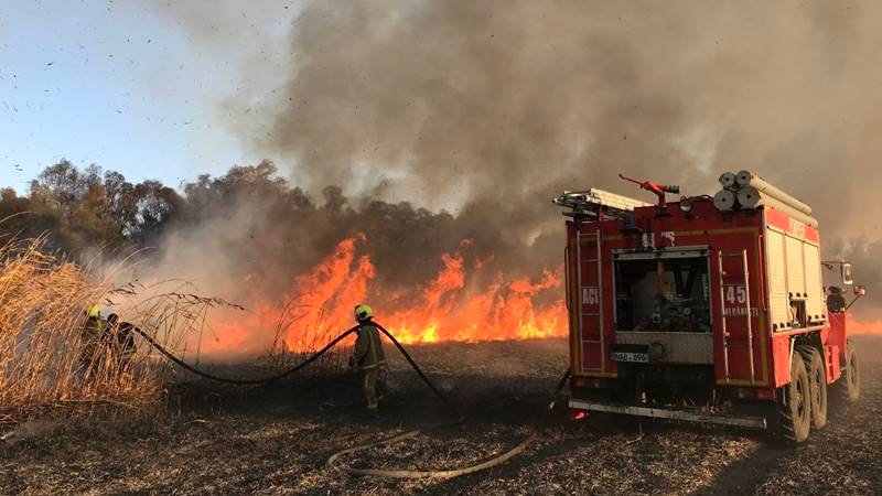 Incendiu de vegetație în Istria: flăcările s-au extins și la două curți – o femeie a fost asistată medical