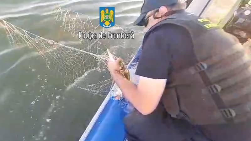 (VIDEO) 700 de metri de plase și 87 de kilograme de pește, descoperite de polițiștii de frontieră: un exemplar de sturion a fost eliberat în mediul natural
