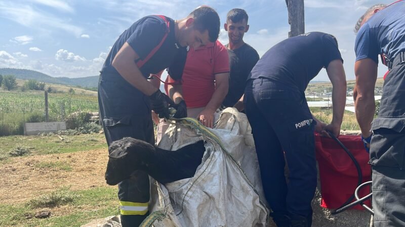 Pompierii tulceni au salvat o căpriță care a căzut într-o fântână adâncă de 20 de metri