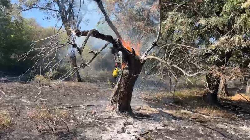 (FOTO/VIDEO) Incendii de vegetație în județul Tulcea: unul dintre ele se manifestă în două gospodării – o femeie a fost asistată medical