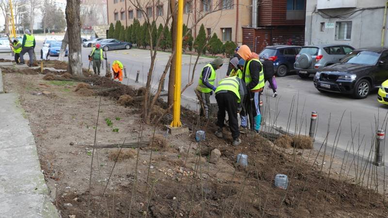 CONSTANȚA. Continuă lucrările la spațiul verde: în această săptămână, acțiunile se concentrează în cartierul Poarta 6