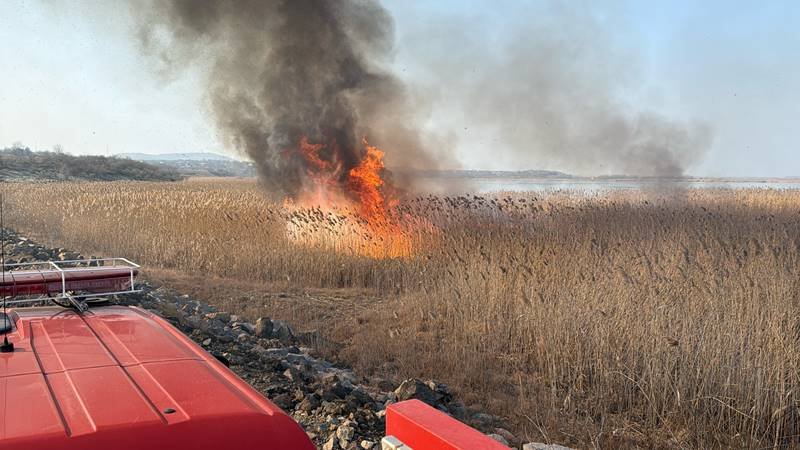 (FOTO/VIDEO) Incendiu de vegetație stuficolă în apropiere de localitatea Somova din județul Tulcea