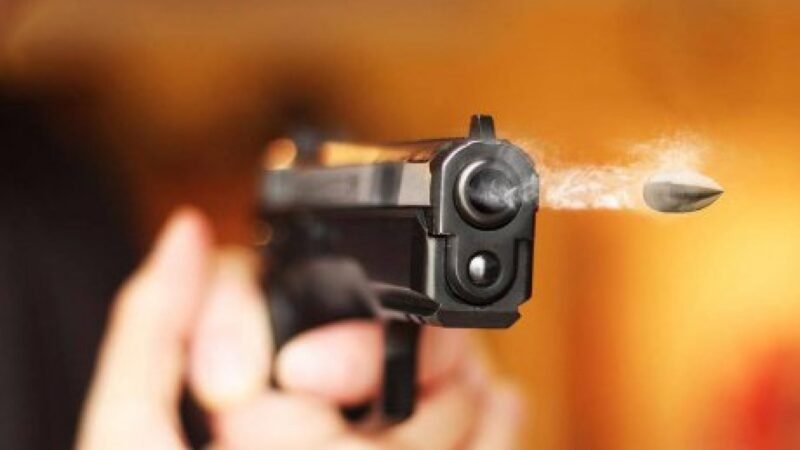 TULCEA. Tineri prinși în timp ce furau carburant dintr-un camion parcat – polițiștii au tras un foc de armă