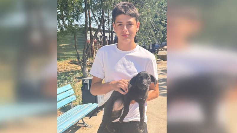 CONSTANȚA. Poveste cu final fericit la Adăpostul Public: Minnie, o cățelușă plină de viață și energie, și-a găsit o familie iubitoare