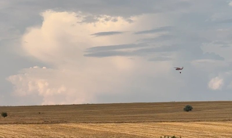 Incendiu de vegetație extins la o pădure în județul Constanța. Intervin echipaje din trei județe și elicoptere Black Hawk