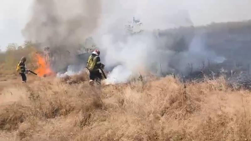 Incendiu de vegetație uscată la ieșirea din Nazarcea spre Ovidiu