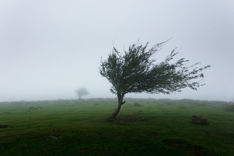 Avertizare de la meteorologi pentru mai mute județe din țară