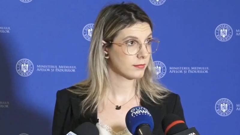 Diana Buzoianu: Aproximativ 250.000 de puieţi care trebuiau să fie plantaţi în păduri anii următori, care existau pe hârtie, pe teren au fost de negăsit. Aşa se fură pădurile viitoare