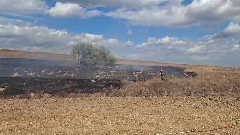 (VIDEO) Două incendii de vegetație uscată în județul Tulcea: pompierii intervin cu mai multe autospeciale și cu elicopterul Black Hawk