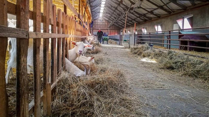 O fermă din Tulcea, selectată ca „fermă model” pentru protecția apelor și a solului