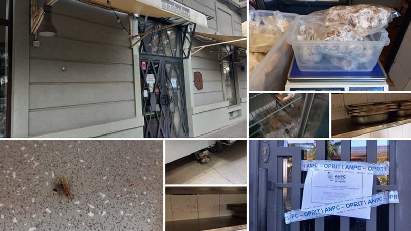 (FOTO) CONSTANȚA. Controale ale Protecției Consumatorilor la Barissimo Cocktail Bar și restaurant Popina: comisarii au găsit gândaci, mizerie și mucegai – au fost închise temporar