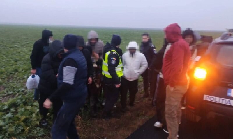 14 migranți descoperiți de polițiștii de frontieră în zona Negru Vodă – Cerchezu
