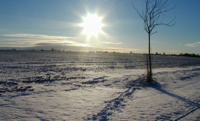 Prognoză meteo pentru următoarele 4 săptămâni. Cum va fi vremea în perioada 26 ianuarie – 23 februarie