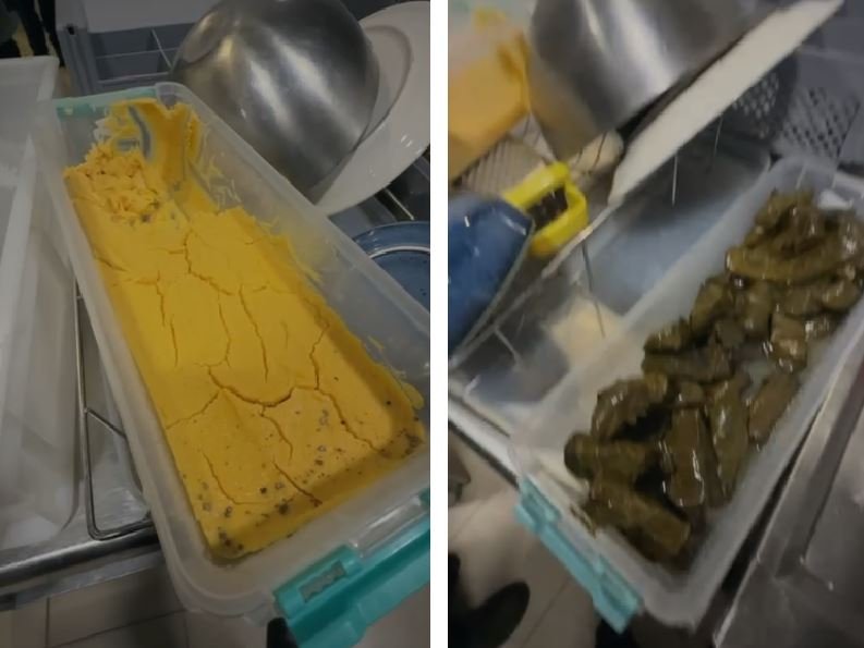 FOTO + VIDEO Gândaci, mucegai și alimente neconforme la Souvlaki Bar din Constanța. Comisarii CJPC au amendat și închis restaurantul