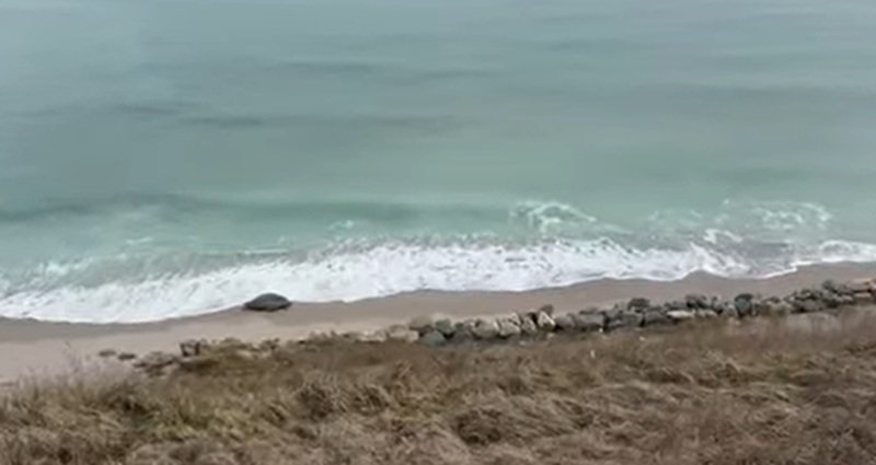 Alertă pe litoral! Bucată dintr-o dronă, descoperită pe plaja dintre Tuzla și Costinești