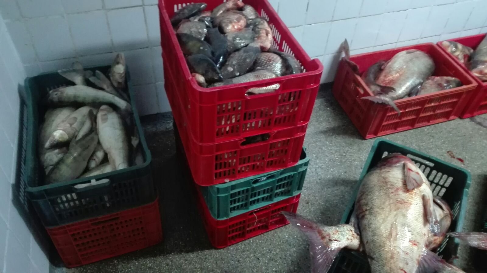 Controale în Delta Dunării. Cherhanalele și punctele de debarcare în vizorul inspectorilor ARBDD