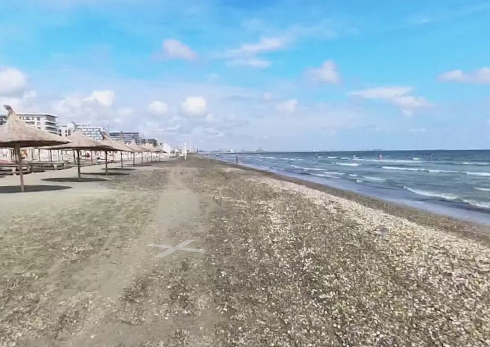 Alertă pe litoral! Animal mort adus de valuri pe o plajă din Constanța