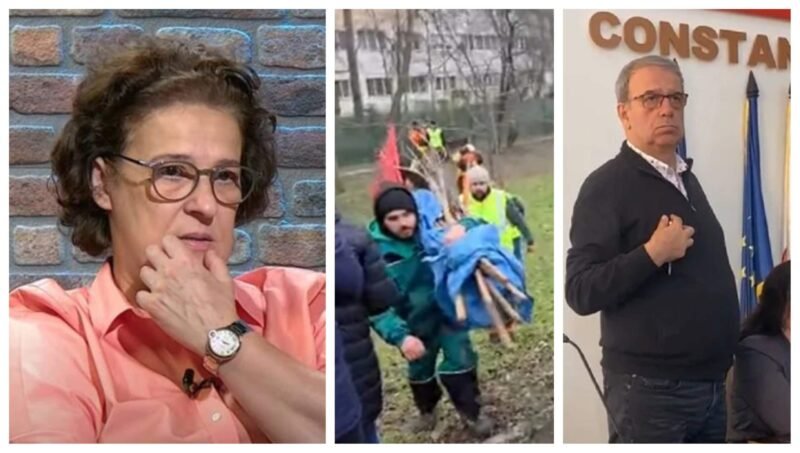 Spațiu verde sau VIP pentru parcare? Noi detalii în cazul spațiului verde din zona Abator, Felicia Ovanesian: „DNA să vină să vă ia!”